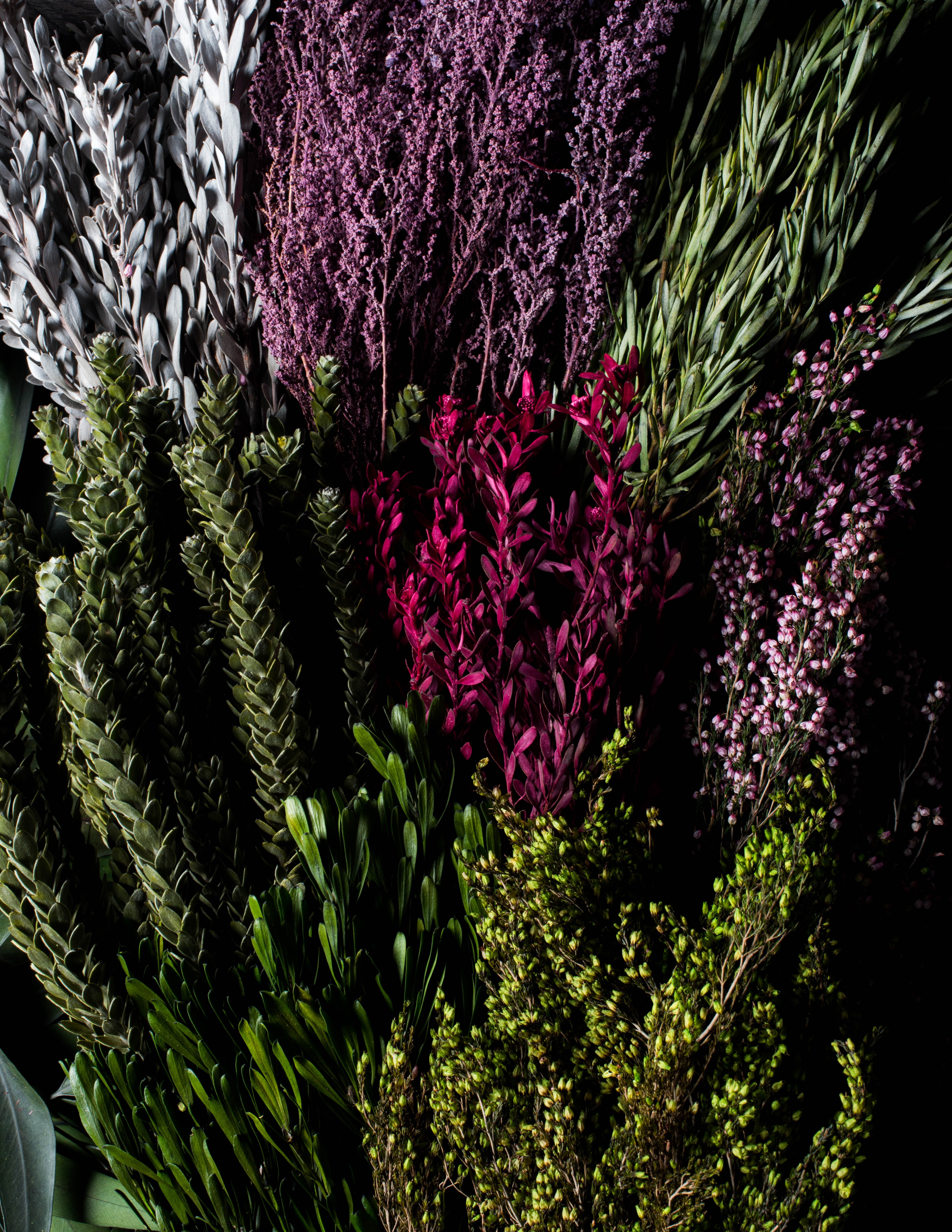 Pink, green, and purple botanicals clustered together